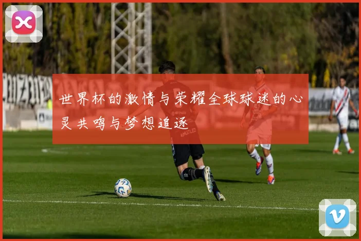 世界杯的激情与荣耀全球球迷的心灵共鸣与梦想追逐