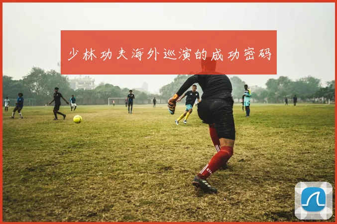 少林功夫海外巡演的成功密码