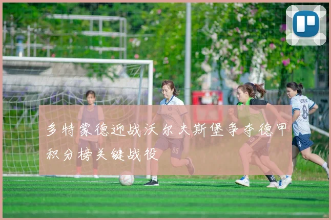 多特蒙德迎战沃尔夫斯堡争夺德甲积分榜关键战役
