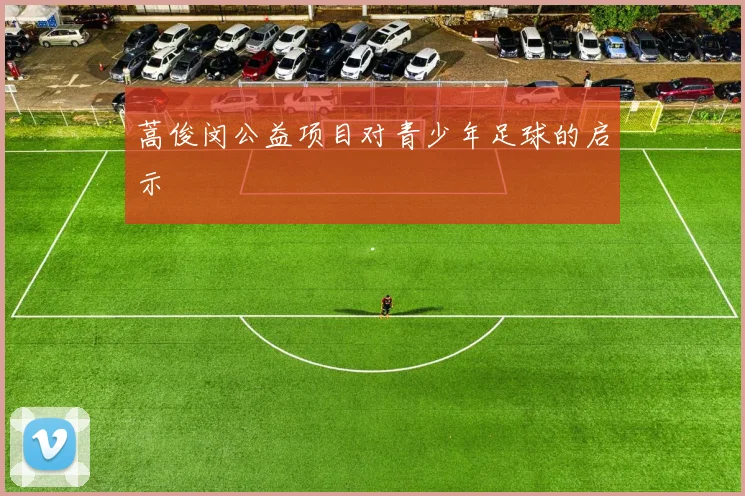 蒿俊闵公益项目对青少年足球的启示